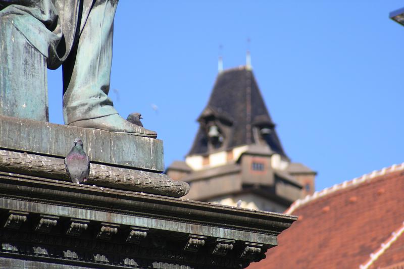 Imagen para los medios: Moscheen Errichtungs-, Preservation- und Verwaltungsverein Graz