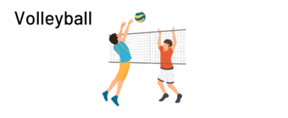 Volleyball